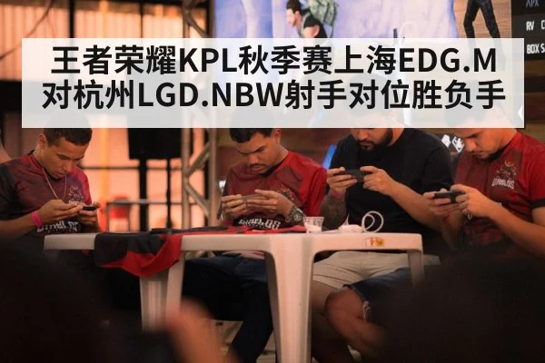 王者荣耀KPL秋季赛上海EDG.M对杭州LGD.NBW射手对位胜负手（kaiyun）
